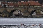 V Praze se bude plavat tradiční tříkrálová otužilecká trasa pod Karlovým mostem (ilustrační foto).