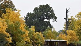 V Lednici nemá být turistům v zimě na lodích chladno, zahřeje je svařák.