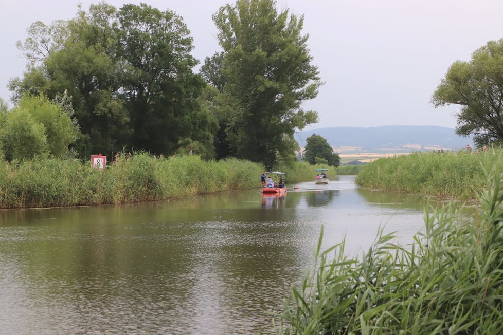 Marek Jedlička z Hodonína přeplaval ve středu 27. června Baťův kanál. Trasu dlouhou 43 kilometrů zvládl za 14 hodin a 3 minuty. Na paddleboardu ho doprovázel Pavel Dvořáček.