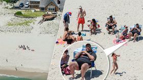 Guvernér New Jersey Chris Christie si užíval pláže, kam veřejnosti zakázal přístup.