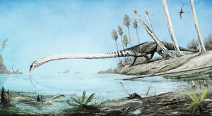 Paleontologická detektivka: Záhada divného žirafího plaze vyřešena!