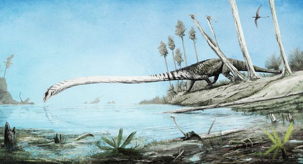 Paleontologická detektivka: Záhada divného žirafího plaze vyřešena!