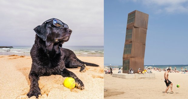 Pes u moře a nejznámější z pláží v Barceloně – Barceloneta
