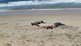 Střelba na pláži v Pobřeží slonoviny za sebou zanechala mrtvé.