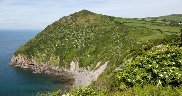 Pláž Wild Pear Beach v Anglii