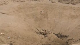 Dívka (15) málem zemřela na pláži: Při kopání jámy ji zasypal písek.