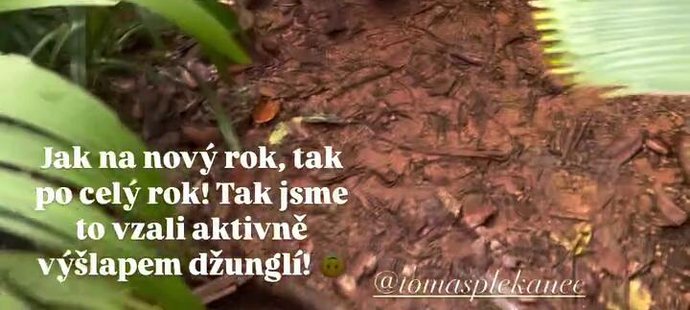 Plekancovi vyrazili s dětmi do džungle.