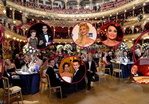Kde kdo a s kým seděl na Plesu v Opeře?