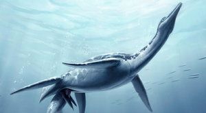 Nový objev: Plesiosauři žili jako delfíni