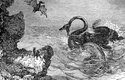 Slavný obrázek z neméně slavné knihy Cesta do středu Země od Julese Verna. Souboj plesiosaura s vítězným ichtyosaurem nakreslil Édouard Riou v roce1864. Z dnešního pohledu je jeho druhohorní výjev spíše roztomilý než vědecky přesný, ale nepostrádá jistý půvab
