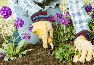 V boji s plevelem využijte například herbicidy na přírodní bázi.