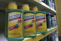 Postřik na plevel Roundup: Podle další studie poškozuje nervy, EU znovu probere zákaz
