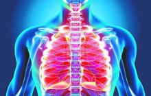 Provětrání plic se vyplatí: Dýchání je složitý proces, kterým můžeme ovlivnit život