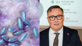 Hrozí Čechům plicní mor z Ruska? Šéf plicařů mluví o rizikovém leteckém spojení