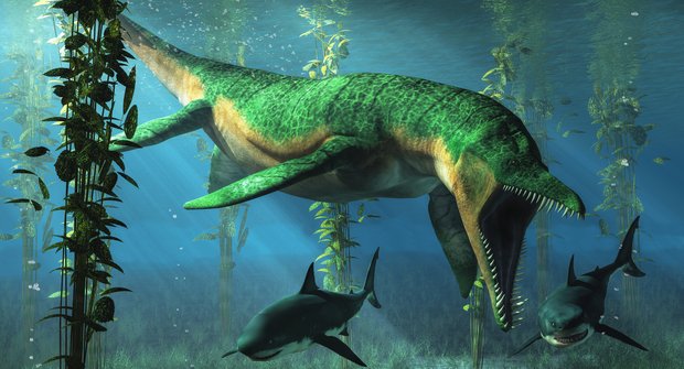 Nový král mořských dinosaurů: Ještě větší, než jsme se báli?