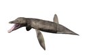 Největší známí plesiosauři patří do podskupiny zvané pliosauři