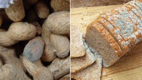 Nebezpečné plísňové jedy v potravinách: Jak se jim vyhnout a proč dát „bacha“ na arašídy