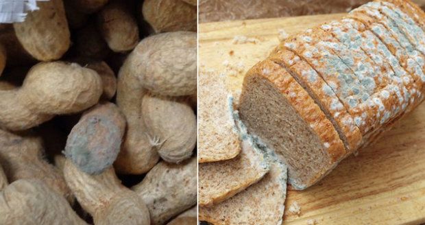 Nebezpečné plísňové jedy v potravinách: Jak se jim vyhnout a proč dát „bacha“ na arašídy