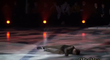 Krasobruslař Semenenko se během show Unie šampionů po pádu zřítil mezi diváky. Podle fanoušků je to vina Pljuščenka, který nechal zmenšit kluziště a odstranit mantinely