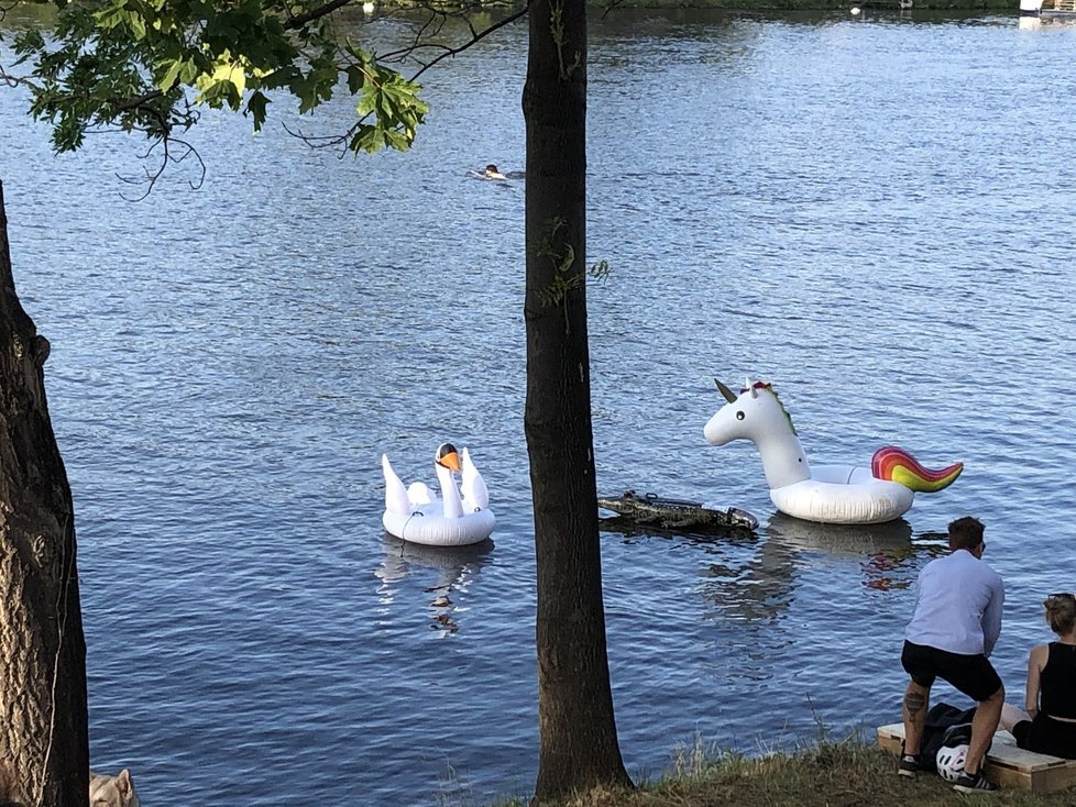 Nová plovárna Baden Baden se otevřela na Štvanici