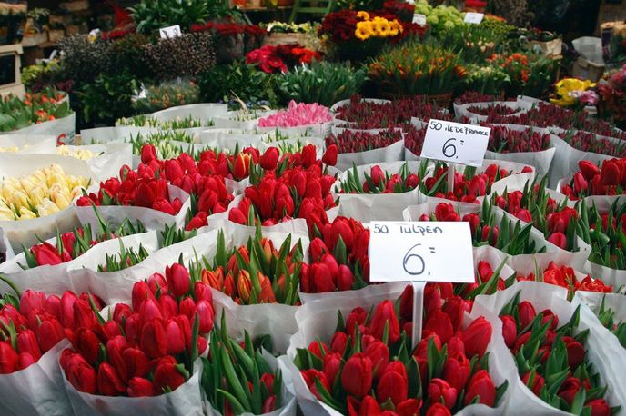Plovoucí květinový trh, Amsterdam