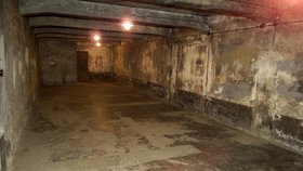 Plynové komory v nacistických koncentračních táborech. Vážně mají děti počítat, kolik se do nich vešlo lidí?