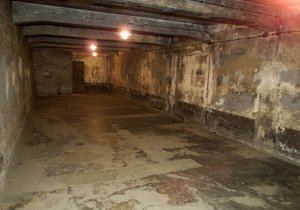 Plynové komory v nacistických koncentračních táborech. Vážně mají děti počítat, kolik se do nich vešlo lidí?