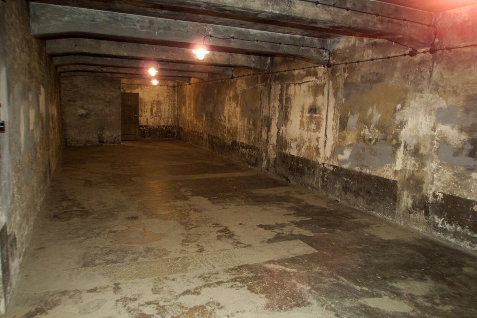 Plynové komory v nacistických koncentračních táborech