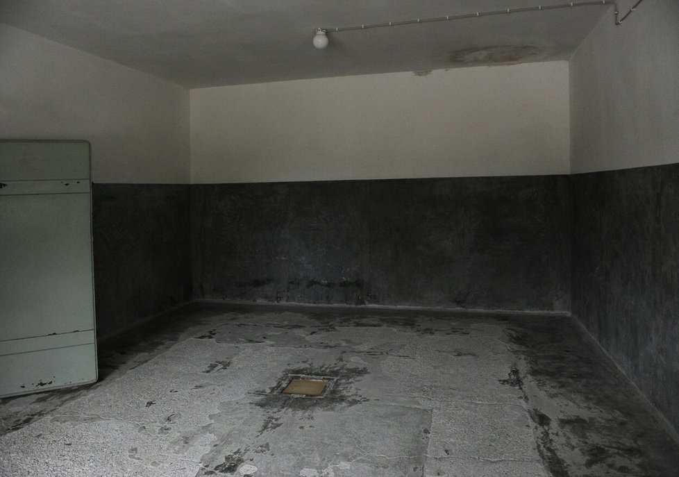 Plynové komory v nacistických koncentračních táborech