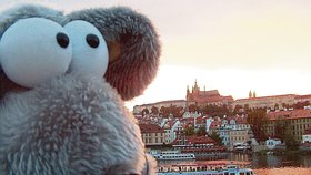 Plyšový myšák kulí oči na scenerii červánků s Pražským hradem v pozadí