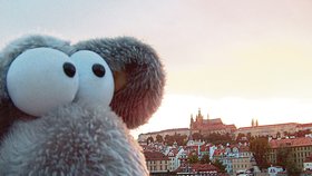Plyšový myšák kulí oči na scenerii červánků s Pražským hradem v pozadí