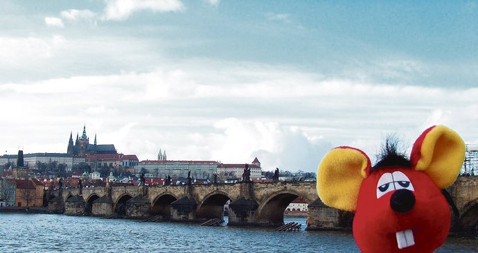 Tak tenhle mazlíček může svému majiteli doma ukázat dvě z pražských nejnavštěvovanějších památek – Karlův most a Pražský hrad