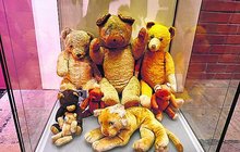 V hradeckém muzeu začala výstava starých hraček: Plyšákům  je 140 let! 
