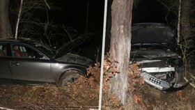 Mladík nechal před obchodem v Plzni nastartované auto: Než nakoupil, zmizelo.