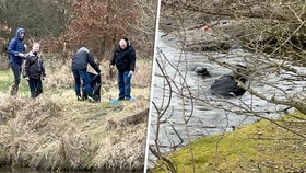 V plzeňské části Doubravka našel náhodný chodec mrtvolu v Berounce. Údajně byla bez hlavy.