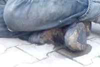 Nechutný nález v Plzni: Opilce žrali červi zaživa