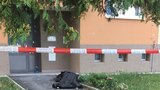 Krveprolití v Domašíně: Mladistvá nezletilá dívka, policie vyšetřuje vraždu a sebevraždu
