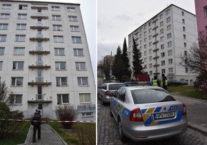 Dívka (10), která skočila v Plzni z okna v 5. patře, byla prý podle sousedky vážně nemocná.