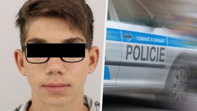 Policisté pátrali po Michalovi z Plzeňska (16): Hocha našli a je v pořádku.