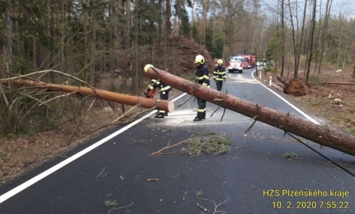 Hasiči likvidují vyvrácené stromy.