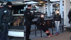 Opilá dvojice přepadla dívku na plzeňském nádraží: Policejním psům se neschovali