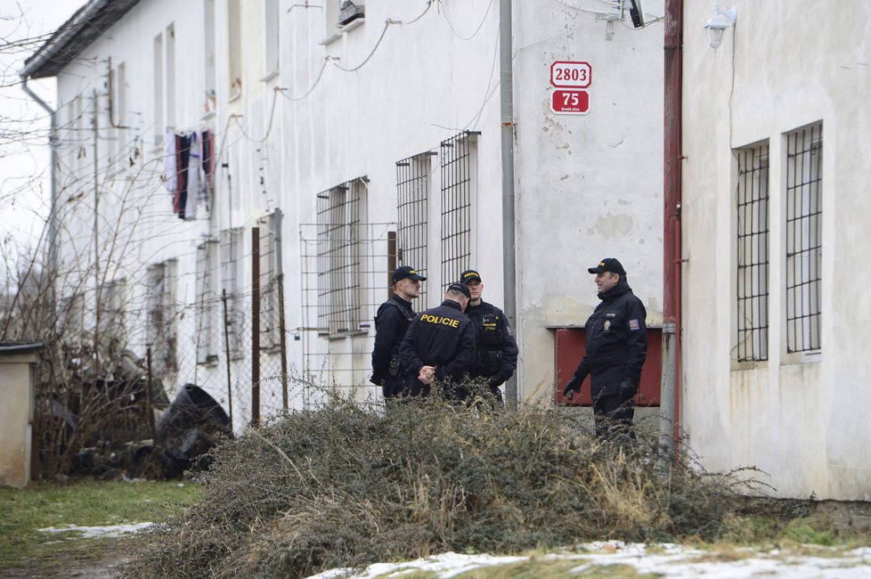 Policisté v čele s ministrem vnitra Milanem Chovancem a policejním prezidentem Tomášem Tuhým kontrolovali cizince na ubytovnách v Plzni.