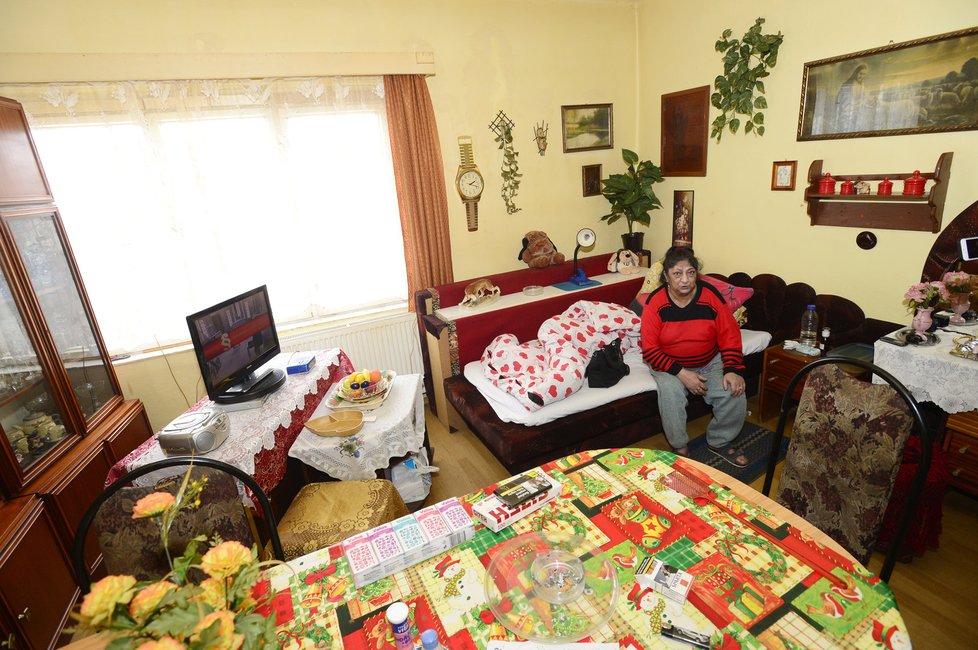 Policisté v čele s ministrem vnitra Milanem Chovancem a policejním prezidentem Tomášem Tuhým kontrolovali cizince na ubytovnách v Plzni.