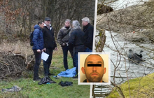 V Plzni objasnili rok starý mord: Oběti uřízl hlavu