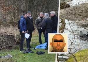 Bezdomovci uřízl hlavu i genitálie?! Policie dopadla podezřelého z vraždy v Plzni