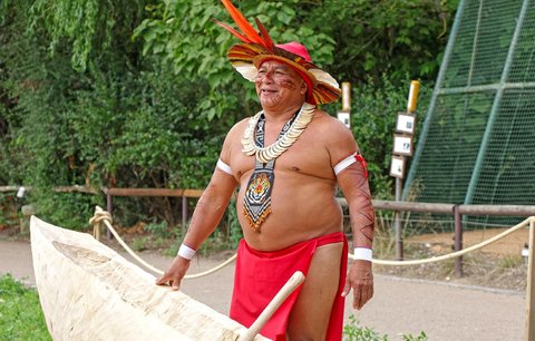 Indiánský náčelník kmene z Amazonie v Plzni: Pro zoo dlabe kánoe