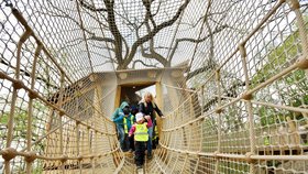 Stromový domek v plzeňské zoo: Starý dub je svět ve světě pro zvířata i lidi