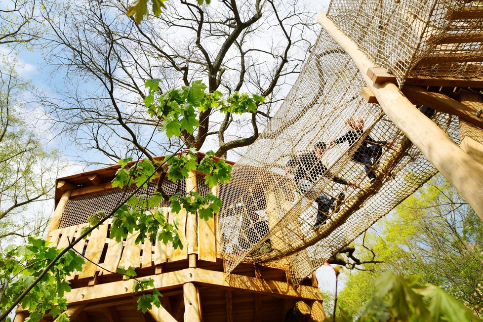 Plzeňská zoologická zahrada otevřela novou expozici Strom jako ekosystém v zoo, která přibližuje živočišná společenstva obývající starý strom.