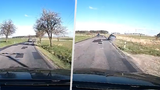 Muž (46) ukradl auto i s dvěma psy: Následně havaroval a došlápla si na něj policie