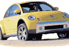 Volkswagen Beetle Dune